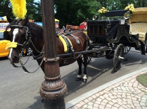 Tyler and his carriage at New York City's Central Park